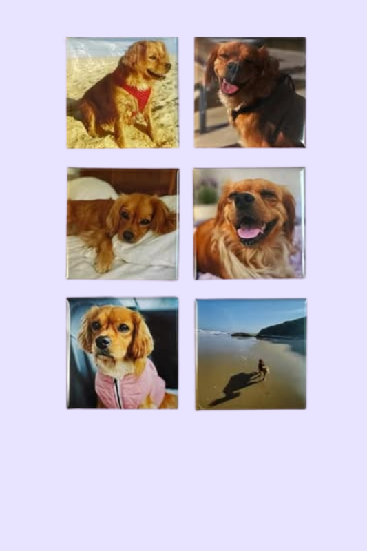 6 x Custom Photo Magnets